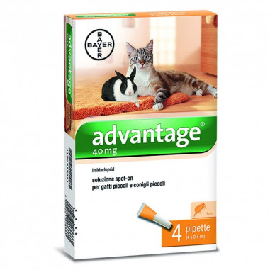 Advantage 40 (4 pipette) Antiparassitario per gatti e conigli