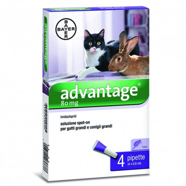 Advantage 80 (4 pipette) Antiparassitario per gatti e conigli