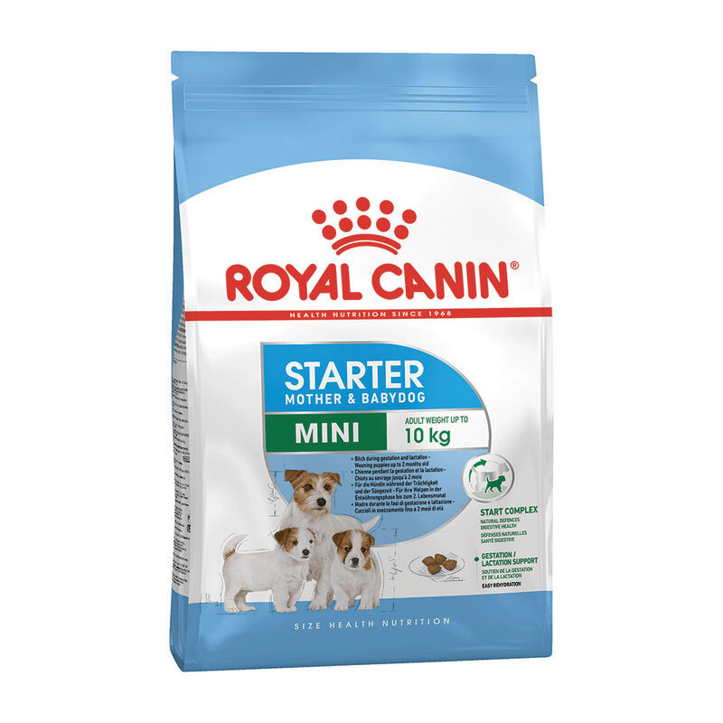 ROYAL CANIN Starter mini 8,5 KG Miglior Prezzo